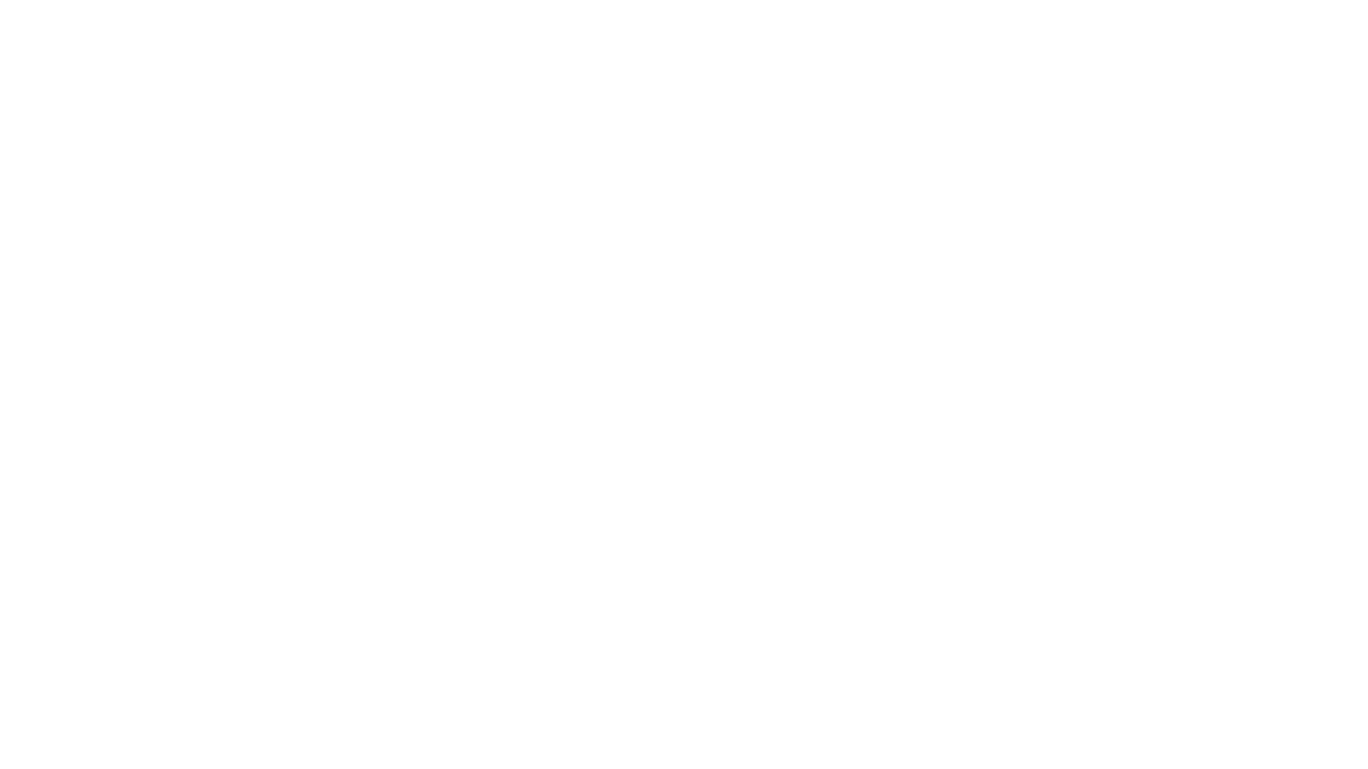 SIM EXPERIENCE